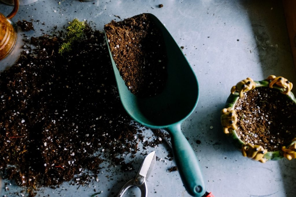 Examining The Soil