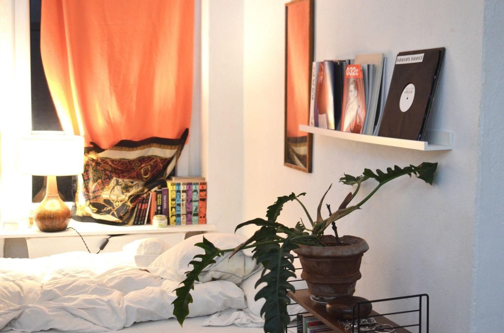 Philodendron